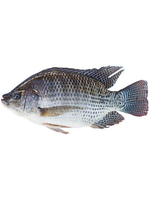 Black Tilapia 750g (approx)