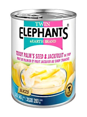 Toddy Palm Seed & Jackfruit in Syrup - TWIN ELEPHANTS