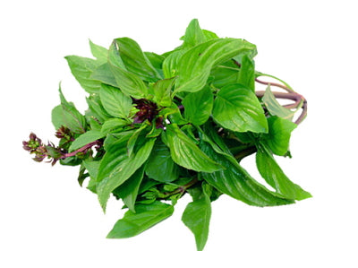 Sweet Basil 100g