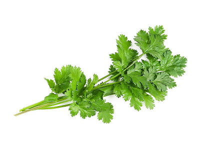 Coriander (no root) 100g