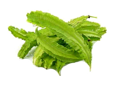 Winged Bean 200g