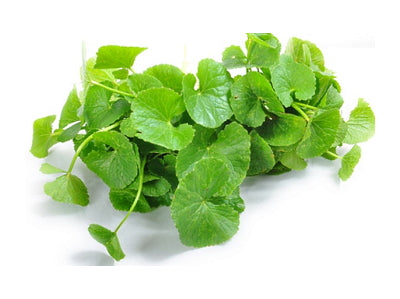 Asiatic Pennywort 200g