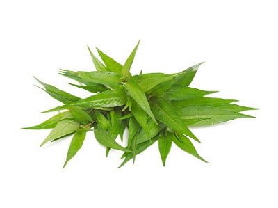 Pak Pai (Vietnamese Coriander) 200g